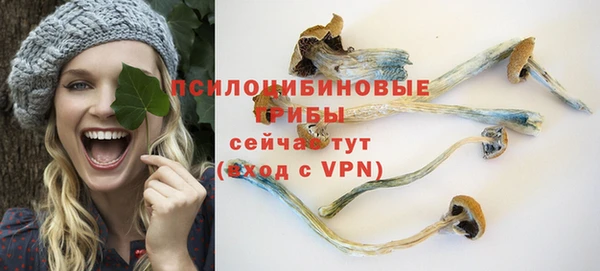 дживик Ельня