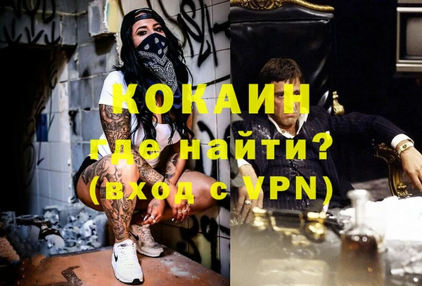 дживик Ельня
