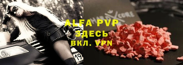 хмурый Елизово