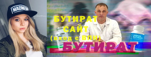 дживик Ельня
