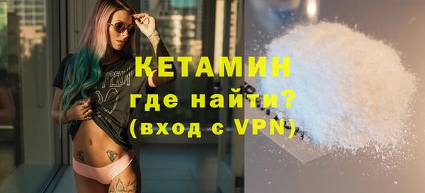 дживик Ельня