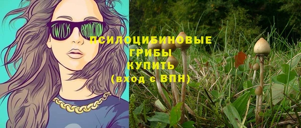 дживик Ельня