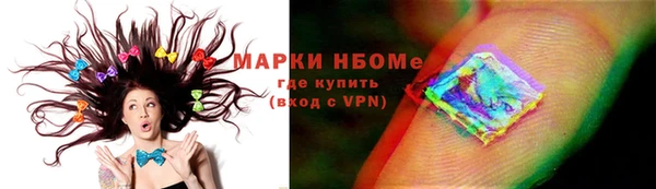 дживик Ельня