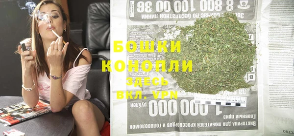 дживик Ельня