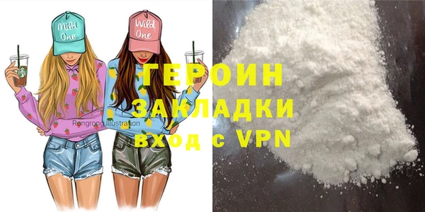 дживик Ельня