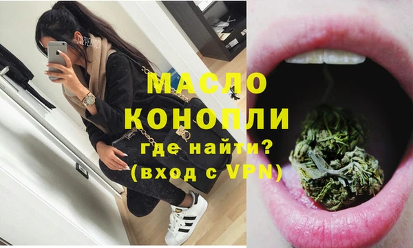 дживик Ельня
