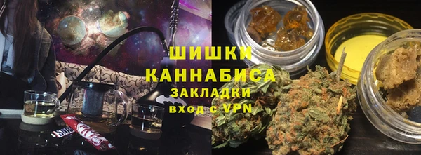 дживик Ельня