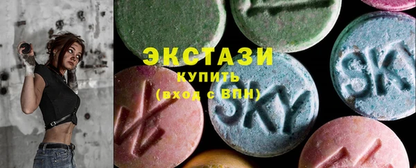 дживик Ельня