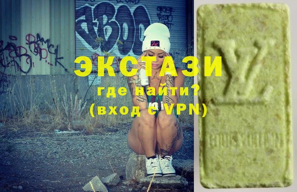 дживик Ельня
