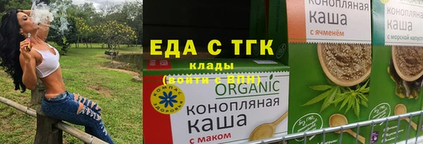 дживик Ельня