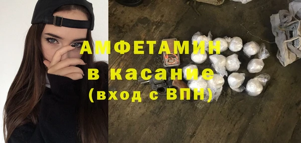 дживик Ельня