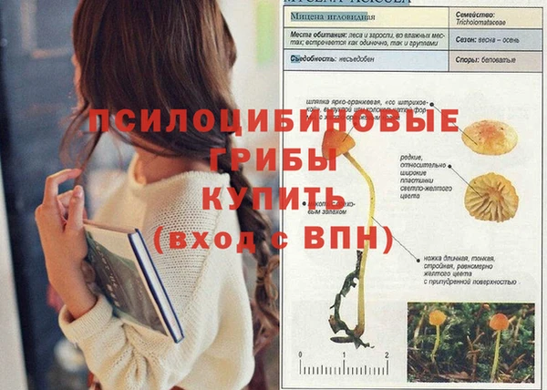 хмурый Елизово
