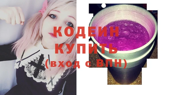 дживик Ельня